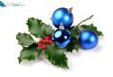 holly decorated with shiny blue christmas balls, isolated on white