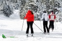 Groupe de skieurs sur les pistes