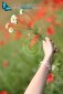 A hand giving a bouquet of flowers