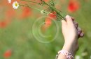 A hand giving a bouquet of flowers