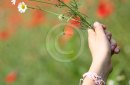 A hand giving a bouquet of flowers