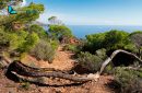 Sentier GR du Cap Dramont Saint-Raphaël