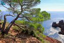 L'Esterel , Var, Alpes-Maritimes