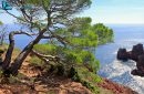 L'Esterel , Var, Alpes-Maritimes