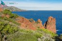 La Rade d'Agay vue du Cap Dramont