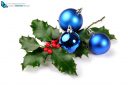 holly decorated with shiny blue christmas balls, isolated on white