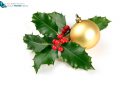 Christmas decoration with holly and golden  ball