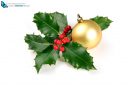 Christmas decoration with holly and golden  ball