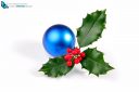 Christmas  with holly branch and shiny blue ball. Photo isolated on white background