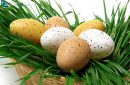Easter eggs in a basket with green grass for the easter party