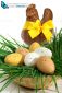 Basket of Easter eggs placed on fresh grass with a big chocolate hen with a yellow node on a white background