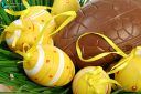 Basket of yellow Easter eggs with ribbon on green grass with a large chocolate egg