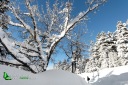 Paysage de montagne en hiver