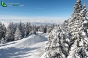 Paysage de montagne en hiver