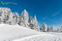 Paysage de neige poudreuse