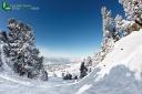 Neige poudreuse sur les pistes