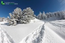 Trace de ski dans la neige