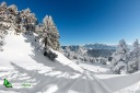 Ski hors pistes