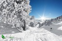 Paysage de neige poudreuse